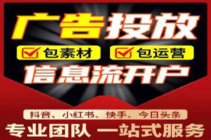 SEM专员案例：数据分析与优化